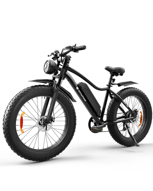 Adult Electric Mountain Bike 900W Motor,