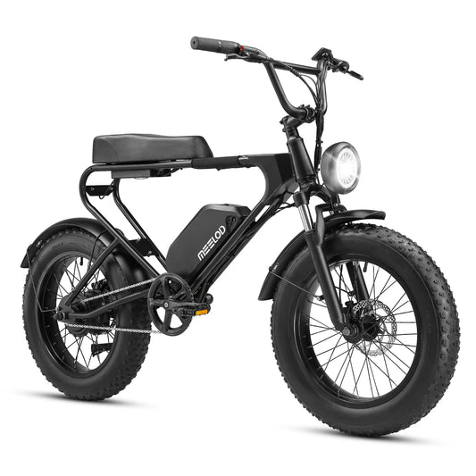 Adult Electric Mountain Bike 1008W Motor
