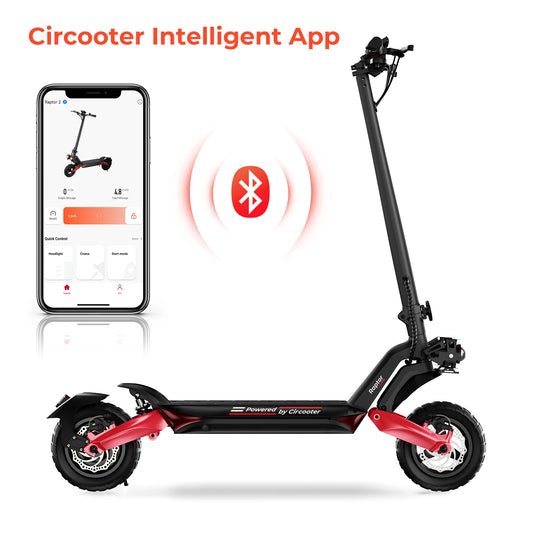 Foldable Adult Electric Scooter 500W Motor