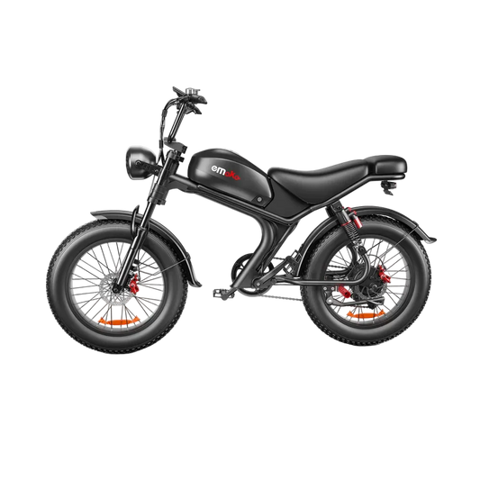 Adult Electric Mountain Bike 1000W Motor