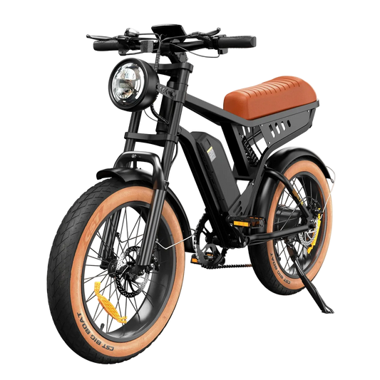 Adult Electric Mountain Bike