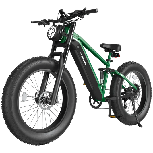 Adult Electric Mountain Bike 750W Motor