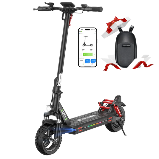 Foldable Adult Electric Scooter 800W Motor