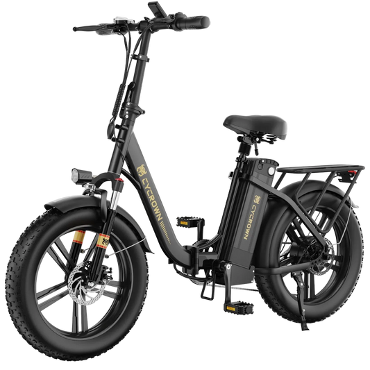 Adult Electric Mountain Bike 20-Inch Fat Tire