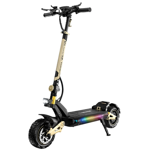 Adult Electric Off-Road Scooter 2400W Motor