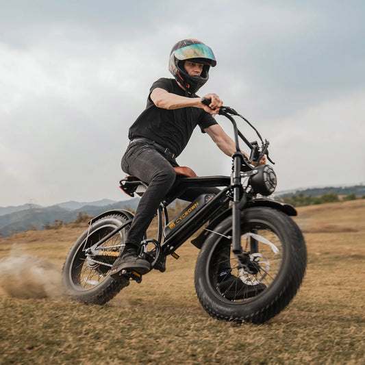 Adult Electric Mountain Bike 750W Motor