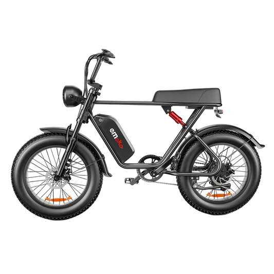 Adult Electric Mountain Bike Dual 1000W Motors