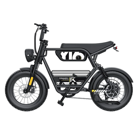 Adult Electric Mountain Bike Dual 1000W Motor