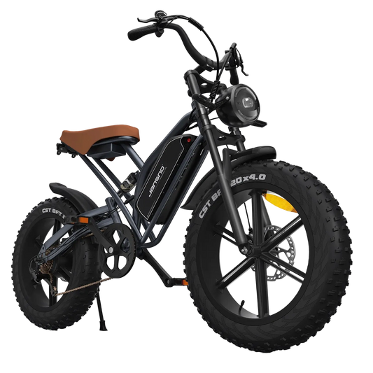 All-Terrain Adult Electric Bike