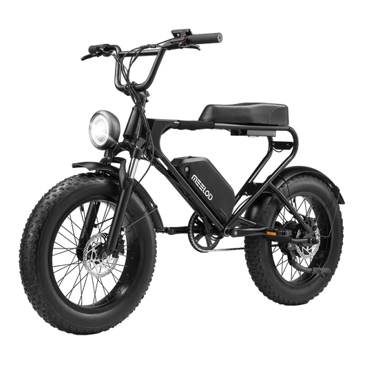 Adult Electric Mountain Bike 1008W Motor