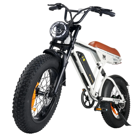 Adult Electric Mountain Bike 750W Motor