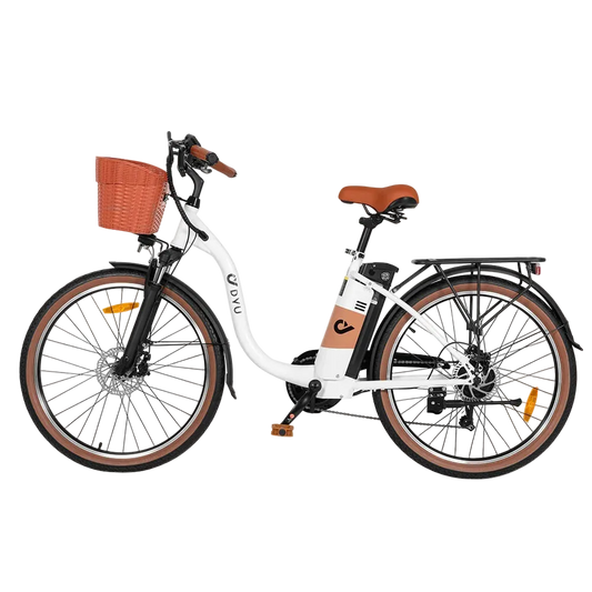 Adult Electric Bicycle 250W Motor